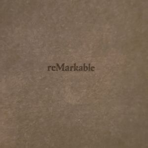 Remarkable electronic notebook with stylus